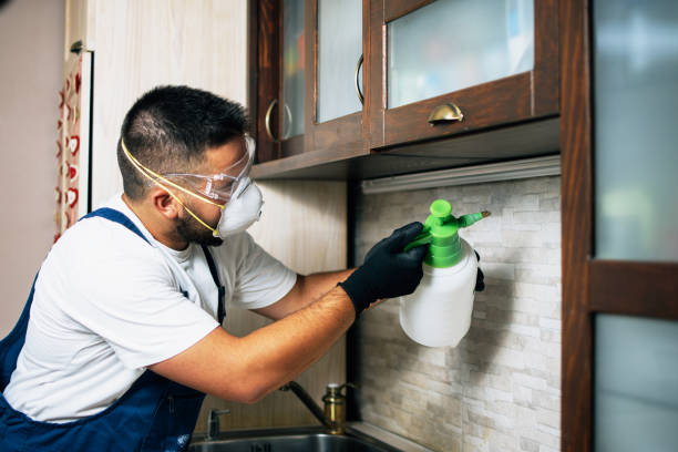 Best Local Pest Control Services  in Aberdeen, MD