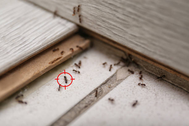 Best Pest Prevention Services  in Aberdeen, MD