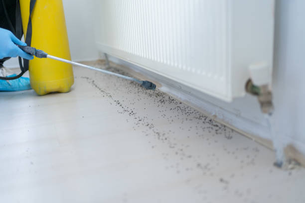 Best Cockroach Control Services  in Aberdeen, MD