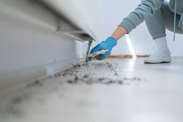 Aberdeen, MD Pest Control Company